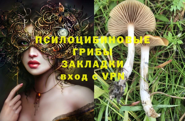 шишки Алексеевка