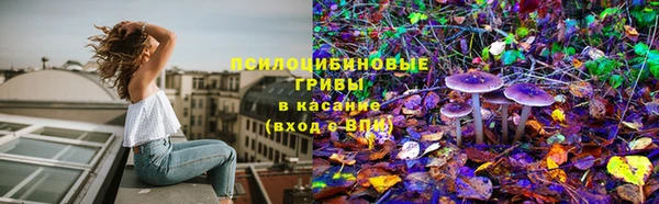 шишки Алексеевка